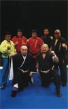 平成維震軍