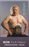 上田馬之助