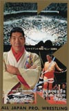 ジャイアント馬場 武道館’89.9.2　デビュー30周年記念試合