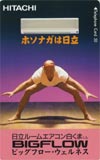 ハルク・ホーガン 日立