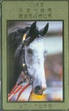 ビワハヤヒデ 1993年度年度代表馬最優秀4歳牡馬