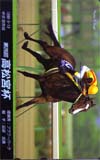 フラワーパーク