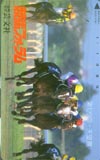 競馬フォーラム 第120回天皇賞