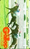ギャロップ ブライトサンディー
