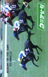 ダービー社 ケイエスミラクル