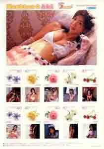 ほしのあき アイドルPスタンプシリーズ