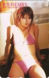 安田美沙子 WILD FAIRY