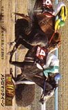 Gallop100名馬 メジロマックイーン