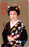 浜木綿子 陽暉楼
