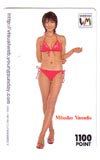 安田美沙子 WebMoneyカード1100