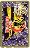 阪神タイガース ’98 TIGERS YEAR