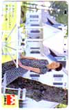 吉永小百合 三井ホーム ハウジングパートナー 群馬ホーム