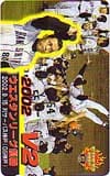 ウエスタンスリーグ優勝2002V