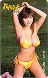 松金洋子 パパラッチ