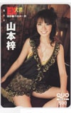 山本梓 EX大衆 クオカード500