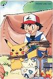 ポケットモンスター JR東日本 オレンジカード1000