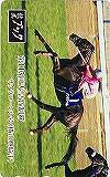 競馬ブック サクラローレル号 第113回天皇賞制覇