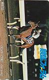 競馬フォーラム ホクトベガ
