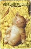ビッグコミックオリジナル
