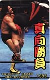 天龍源一郎 橋本真也 真向勝負 1993