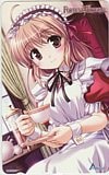 FORTUNE ARTERIAL