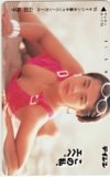 山田裕子 テイジン