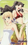 Fate/hollow ataraxia