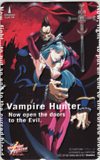 Vampire Hunter