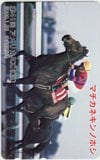 マチカネキンノホシ 第41回 アメリカJCC GⅡ