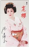 浜木綿子 芝櫻