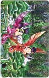 ミッキー&ミニー 2001 東京ディズニーランド