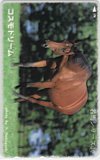 コスモドリーム 名馬シリーズ10