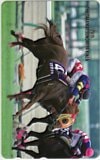 第29回 高松宮記念 マサラッキ