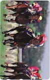 第60回 優駿牝馬（オークス） ウメノファイバー