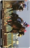 第18回 フェブラリーステークス ノボトゥルー