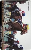 第19回 フェブラリーステークス アグネスデジタル
