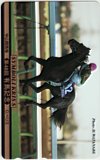 第48回 有馬記念 シンボリクリスエス