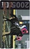 第22回 フェブラリーステークス メイショウボーラー