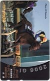 第23回 フェブラリーステークス カネヒキリ