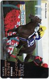 第9回 ジャパンカップダート カネヒキリ