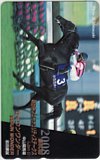 第60回 朝日杯フューチュリティステークス セイウンワンダー