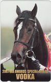 2007 SPECIAL AWARD ウオッカ