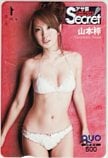 山本梓 アサ芸シークレット! クオカード500