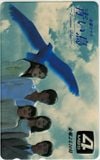 豊川悦司 永作博美 青い鳥 MBS