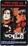 ハルク・ホーガン wcw now SKY Perfect TV!