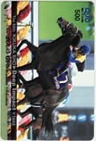 第66回 菊花賞 ディープインパクト クオカード500