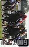 第14回 秋華賞 レッドディザイア