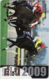 第29回 ジャパンカップ ウオッカ