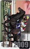 第54回 有馬記念 ドリームジャーニー