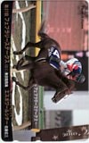 第27回 フェブラリーステークス エスポワールシチー